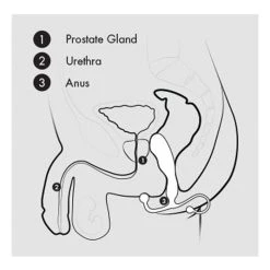 Aneros Helix Syn Trident 7 Aneros Helix Syn Trident -Anal Toys Official Shop ivgu82sehvganelyhd1h
