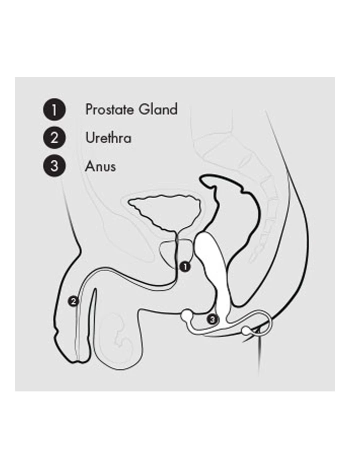 Aneros Helix Syn Trident 5 Aneros Helix Syn Trident - Image 3